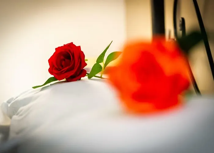 Bed & Breakfast Saint Paul 4*