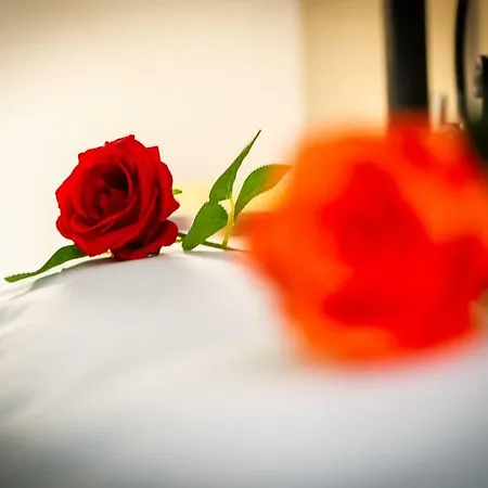 Bed & Breakfast Saint Paul 4*